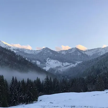 Tatil Evi Hochgrat View In Steibis, Haus Akelei