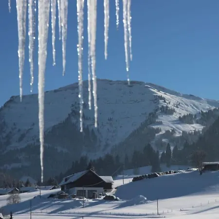 Vakantiehuis Hochgrat View In Steibis, Haus Akelei Steibis