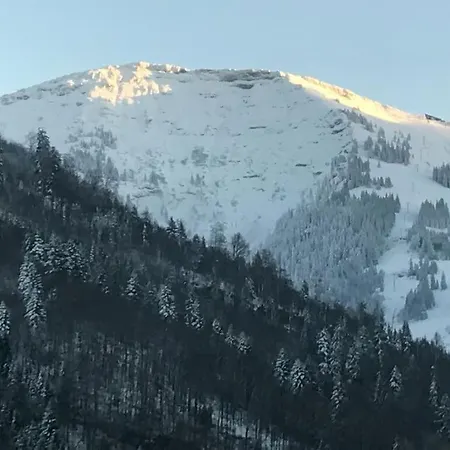 Vakantiehuis Hochgrat View In Steibis, Haus Akelei *