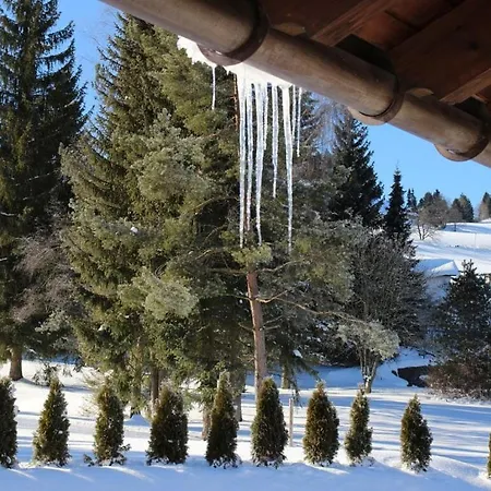 Vakantiehuis Hochgrat View In Steibis, Haus Akelei Steibis
