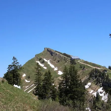 Vakantiehuis Hochgrat View In Steibis, Haus Akelei Steibis